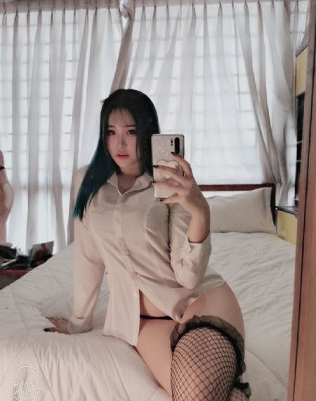 未来之翼