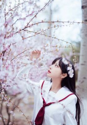 雨霖铃电视剧